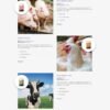 Theme wordpress bán thức ăn chăn nuôi